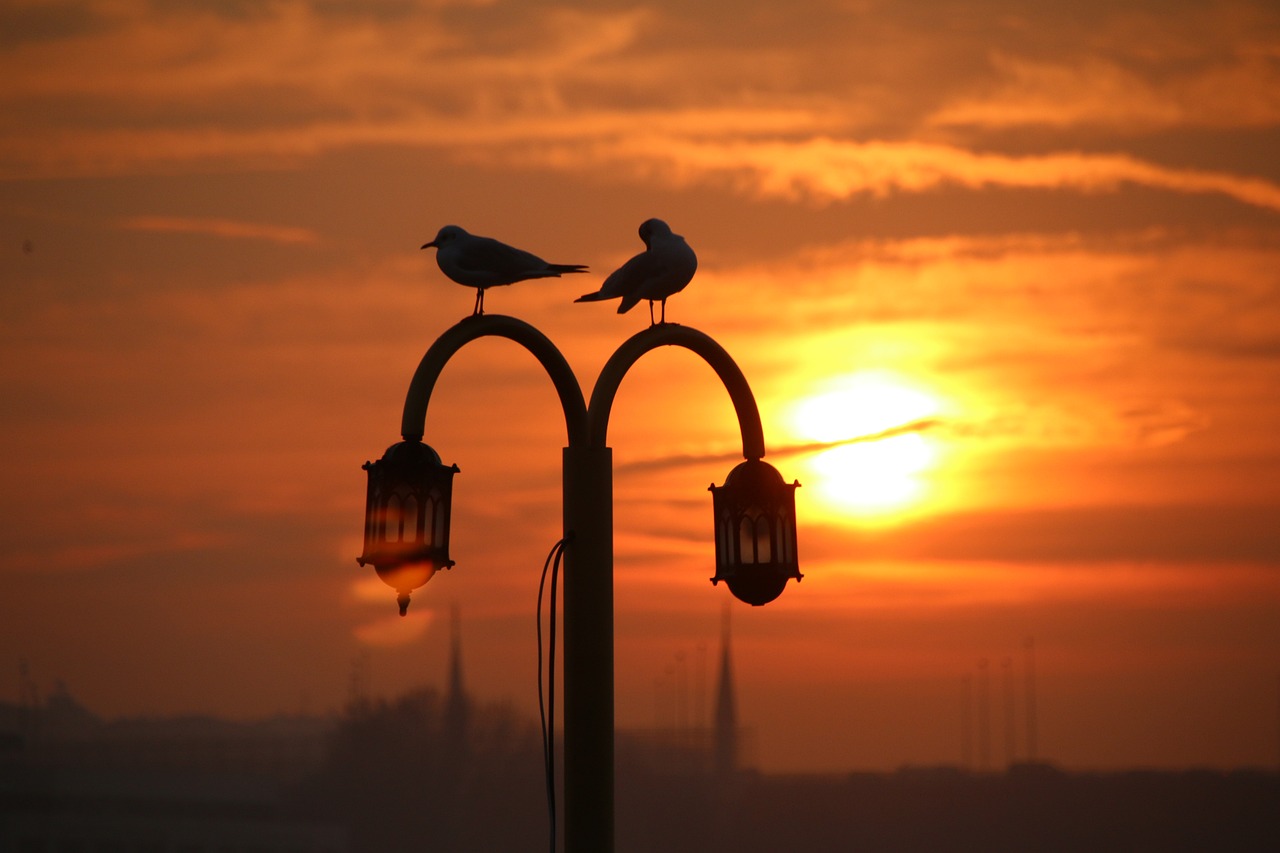 İstanbul Rinoplasti - Kapalı Rinoplasti Ameliyatı Tanım ve Temel Bilgiler