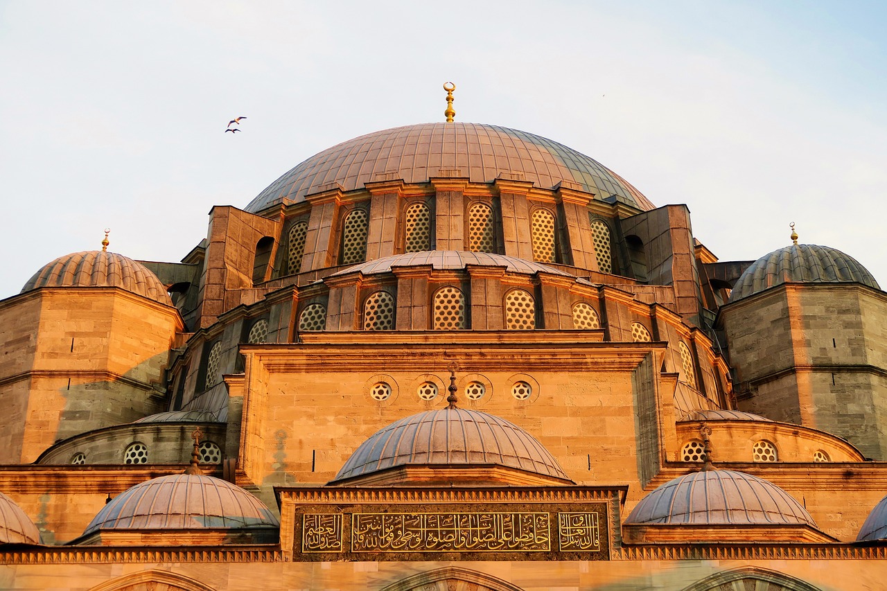 İstanbul Estetik Cerrahi - Vücut Şekillendirme Prosedürleri